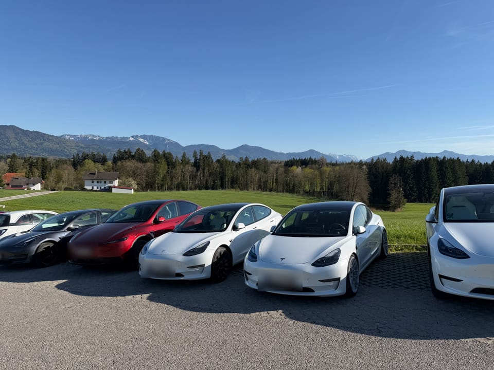 Reihe geparkter Tesla vor Wiese und Bergen