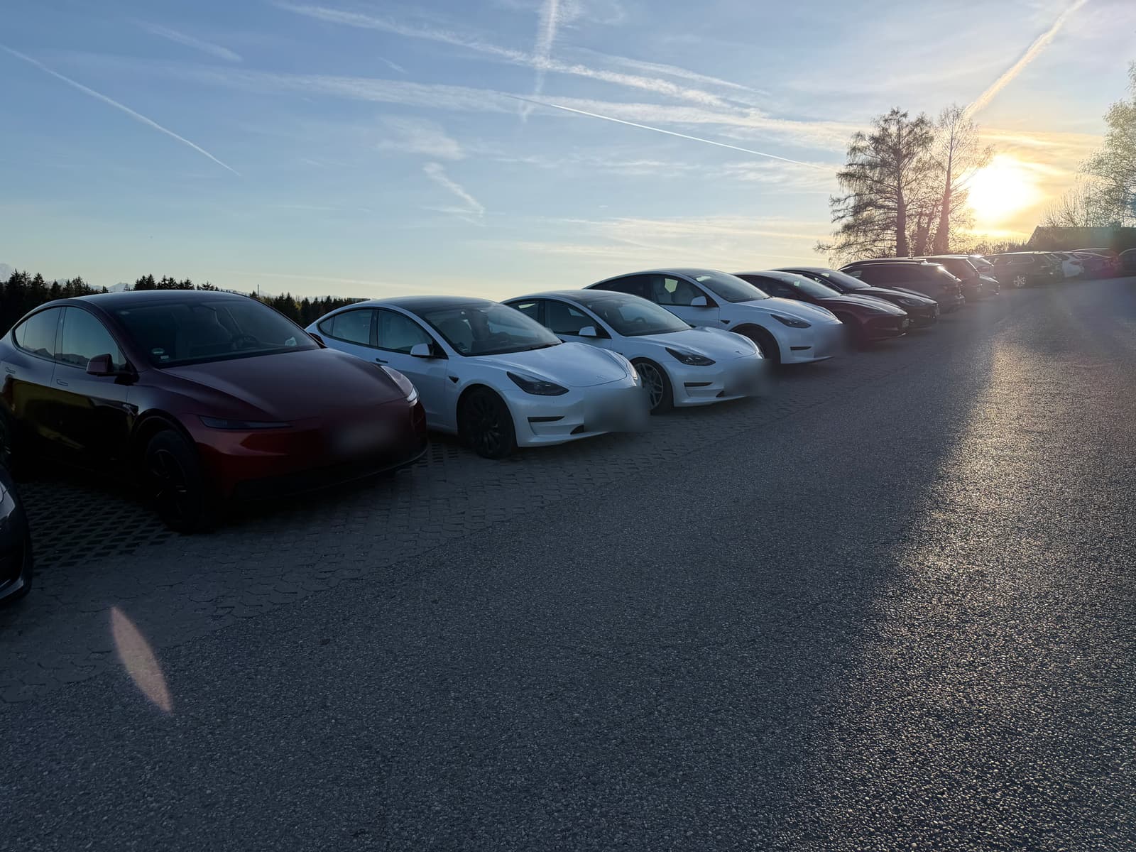 Die Fahrzeugreihe im Abendlicht vor der Bergkette